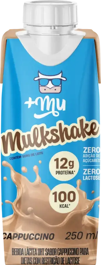 Combo Mulkshake - Cappuccino - Pack 12 Garrafinhas (250ml)